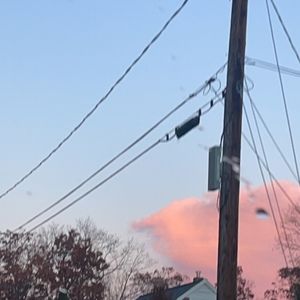 Meet your Posher, Bella